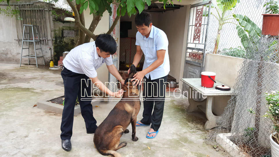 Nỗ lực phòng ngừa và loại bỏ bệnh dại khỏi đời sống cộng đồng