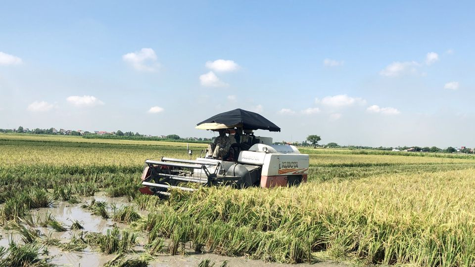 Hưng Yên: Cơ giới hóa được mở rộng, vụ mùa năng suất đạt cao