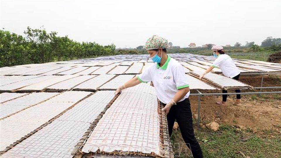 Bắc Giang: Bảo hộ, phát triển tài sản trí tuệ các sản phẩm chủ lực, đặc trưng