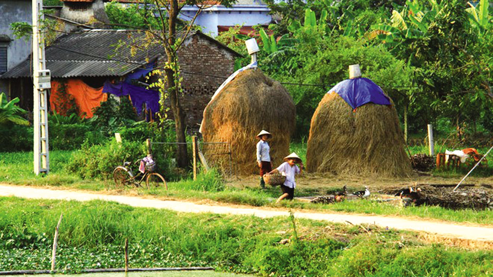 Bâng khuâng tháng Chạp