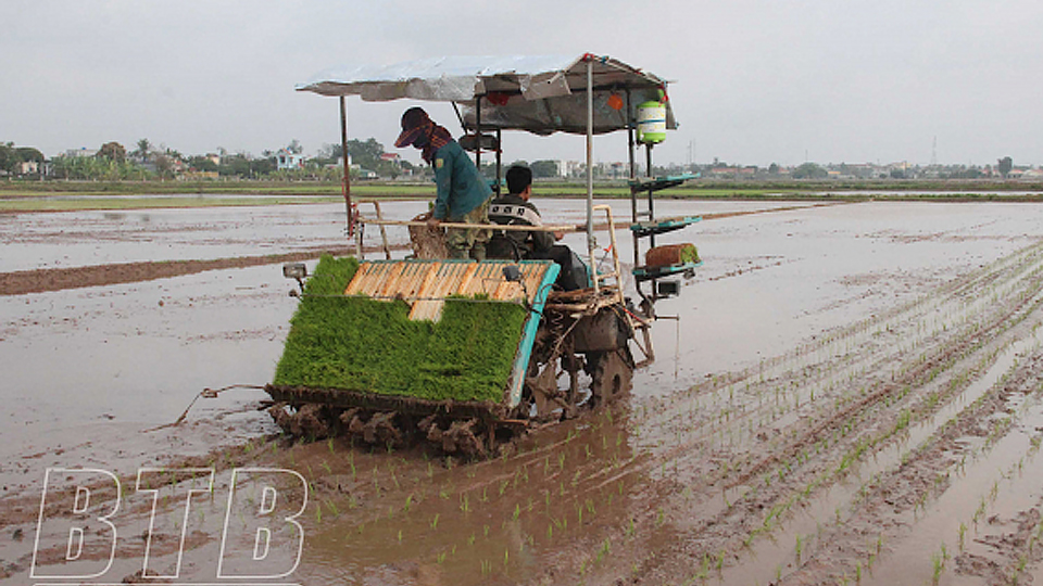 Thái Bình: Khẩn trương cho sản xuất vụ xuân