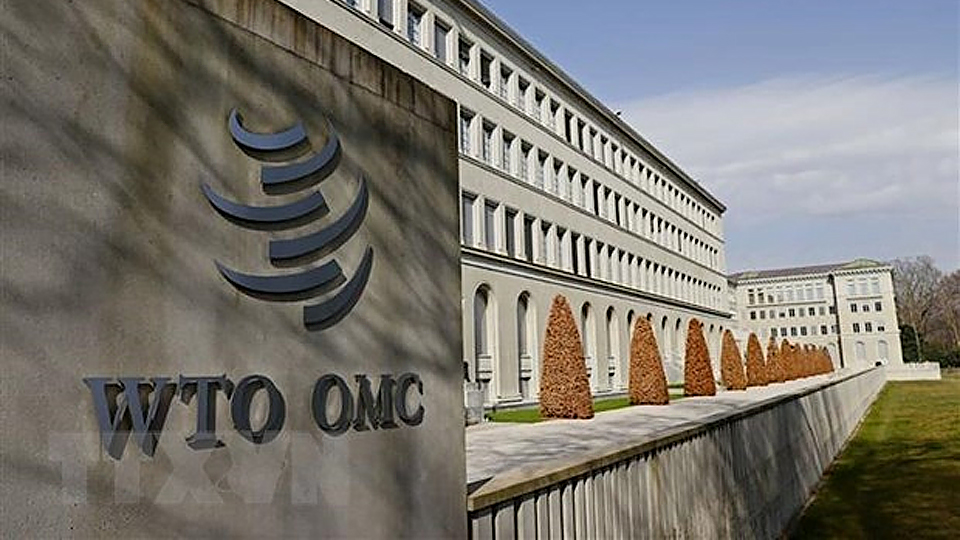 WTO triệu tập lại Hội nghị Bộ trưởng lần thứ 12 vào giữa tháng 6 tới