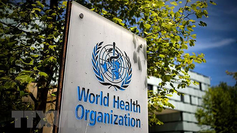 WHO tăng cường giám sát bệnh đậu mùa khỉ