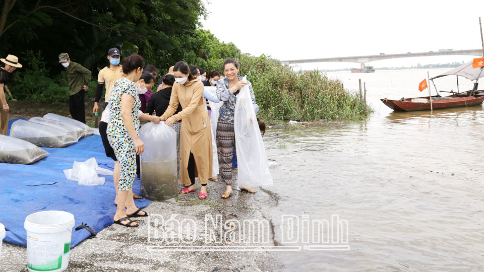 Góp phần tái tạo nguồn lợi thủy sản