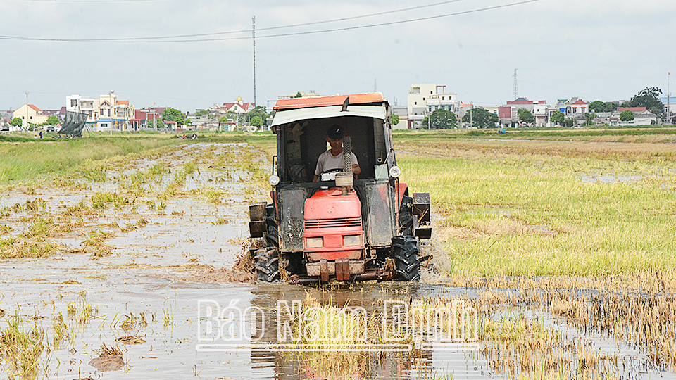 Để vụ lúa mùa thắng lợi!