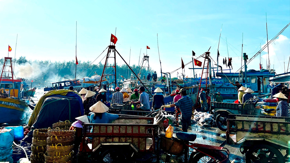 Hải Phòng: Xăng dầu giảm giá, ngư dân tăng cường vươn khơi bám biển