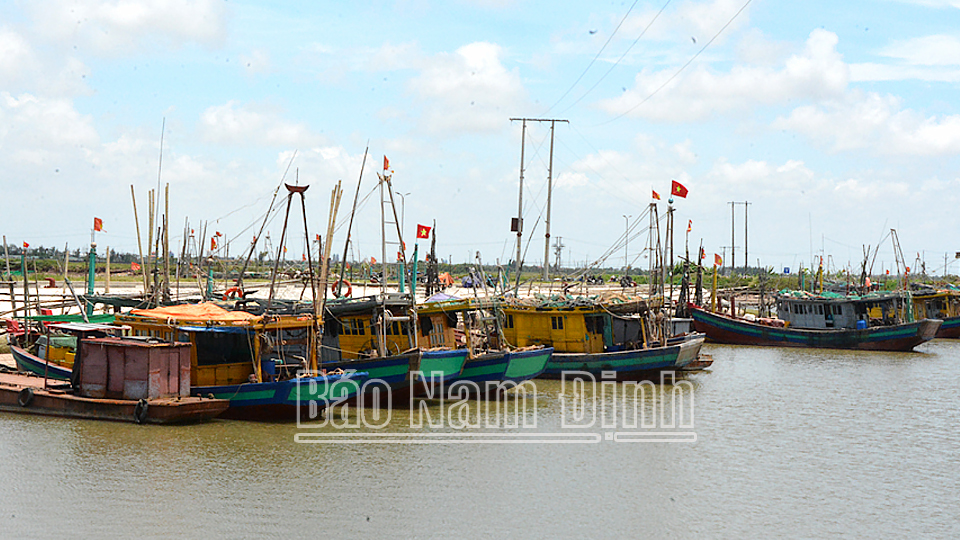 Người đứng đầu chính quyền các cấp phải chịu trách nhiệm nếu tàu cá của địa phương vi phạm về chống khai thác IUU