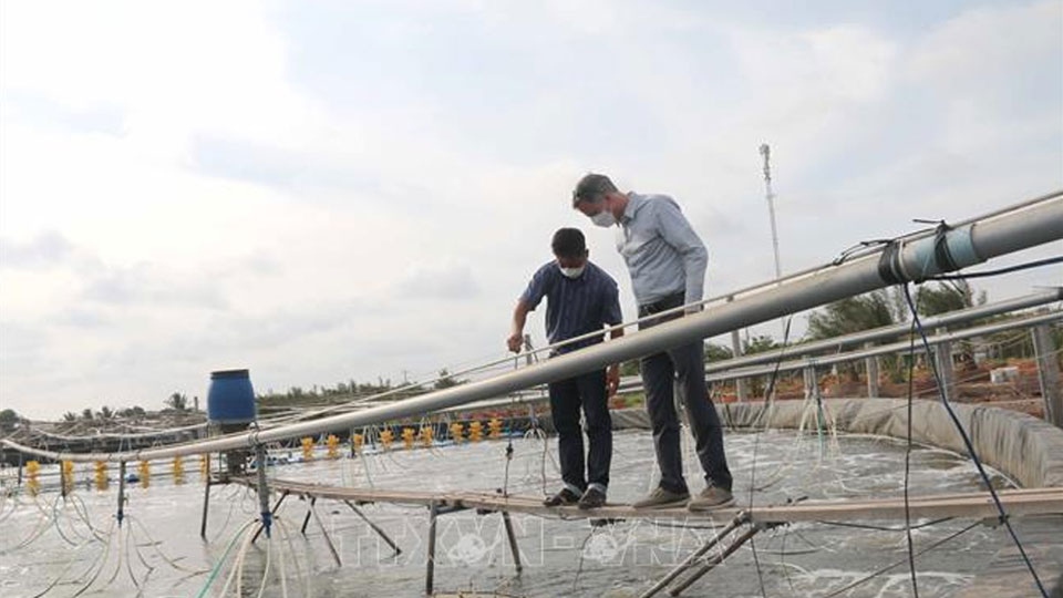 Trà Vinh: Nuôi tôm công nghệ 4.0 đạt trên 34 tấn/ha