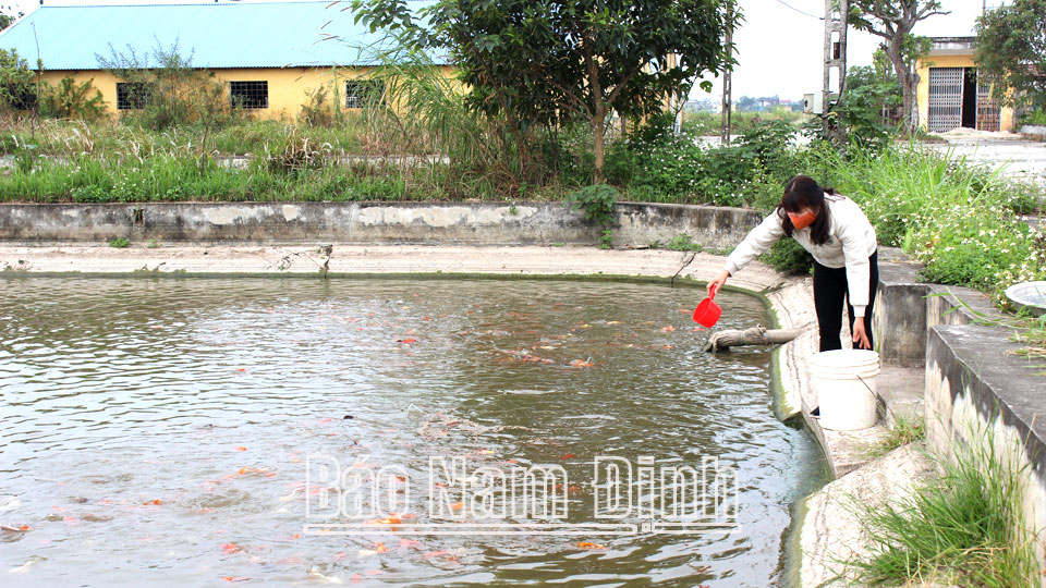 Chú trọng công tác quản lý giống thủy sản