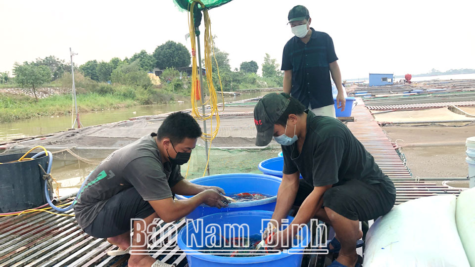 Đảm bảo an toàn nuôi thủy sản thời điểm giao mùa