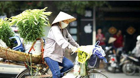 Hoa loa kèn theo chân những người bán rong len lỏi mọi ngõ ngách trong thành phố.