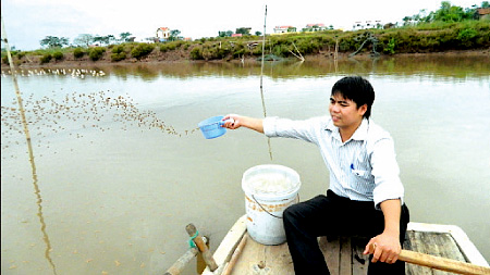 Trang trại của anh Nguyễn Thành Đam, năm 2013 cho thu nhập gần 70 triệu đồng.