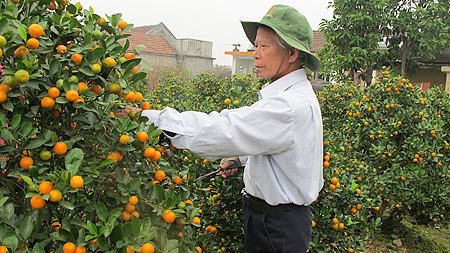 Gia đình giáo dân Nguyễn Hải Hồ, xóm Tâm Lương, xã Nghĩa Lạc tích cực tham gia phong trào “Thi đua sản xuất, kinh doanh giỏi, giúp nhau giảm nghèo, làm giàu bền vững”.