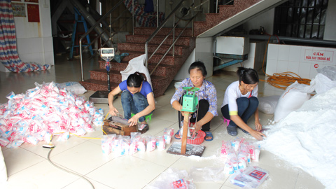 Đóng gói sản phẩm muối tinh, muối sấy tại Doanh nghiệp tư nhân Thanh Đạm, thôn Hoành Tiến, xã Bạch Long.  Bài và ảnh: Thành Trung