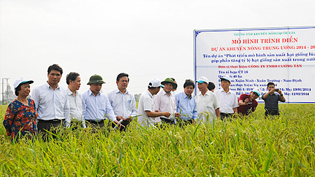 Đại biểu tham quan mô hình sản xuất hạt giống lúa lai F1 tại xã Xuân Ninh, Xuân Trường, Nam Định.