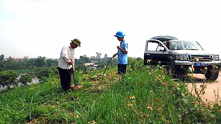 Dò tìm tổ mối bằng ra đa. Ảnh minh họa