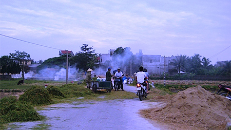 Ảnh minh họa/Internet.