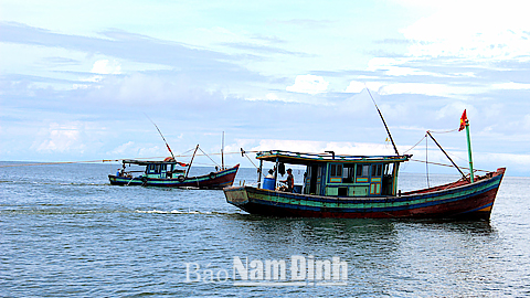 Ngư dân huyện Giao Thủy đánh bắt hải sản.