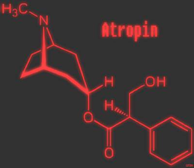  Cấu tạo phân tử của atropin.