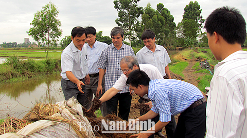 Trung tâm Ứng dụng tiến bộ KH và CN (Sở KH và CN) hướng dẫn người dân áp dụng chế phẩm Bio trong xử lý rơm rạ thành phân vi sinh tại xã Lộc Hòa (TP Nam Định).