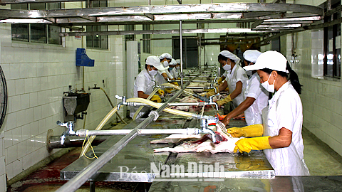 Giết mổ gia súc tại Cty CP Chế biến thực phẩm nông sản xuất khẩu Nam Định.