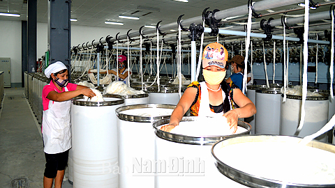 Cty TNHH Sunrise Spinning (KCN Bảo Minh) chuyên sản xuất các sản phẩm dệt, may, tạo việc làm cho gần 400 lao động.