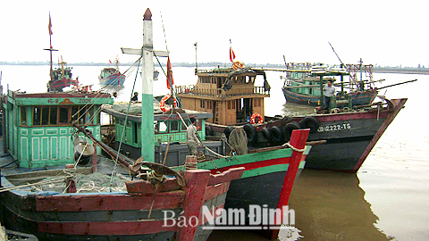 Tàu thuyền của ngư dân huyện Hải Hậu chuẩn bị ra khơi.