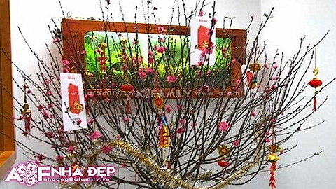 Là cách trang trí cành đào đơn giản và nhanh chóng.