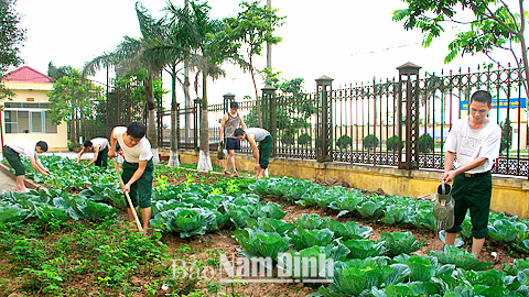 Ban CHQS huyện Xuân Trường tích cực tăng gia sản xuất, cải thiện đời sống cho cán bộ, chiến sĩ.