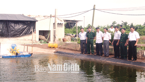 Mô hình nuôi tôm thẻ chân trắng của ông Hoàng Văn Minh, tổ dân phố số 6, Thị trấn Rạng Đông (Nghĩa Hưng).