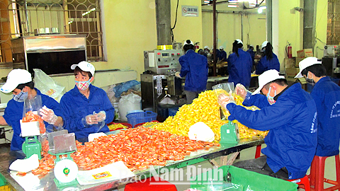 Sản xuất kẹo dẻo hoa quả tại Cty TNHH Bánh kẹo Đại Thắng (TP Nam Định).