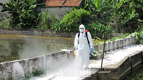 Nông dân xã Yên Bằng (Ý Yên) phun thuốc tiêu độc khử trùng.