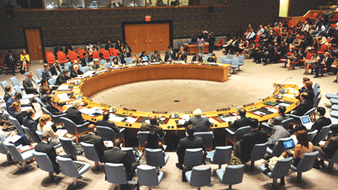 Các thành viên Đại hội đồng LHQ trong một cuộc bỏ phiếu tại trụ sở LHQ ở New York.