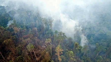 Khói mù bốc lên từ một đám cháy rừng tại Indonesia. (Ảnh: AP)