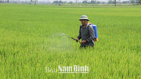 Nông dân xã Đồng Sơn luôn thực hiện nguyên tắc “4 đúng” trong phun thuốc bảo vệ thực vật.