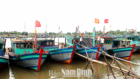 Neo đậu tàu thuyền tại khu neo đậu, tránh trú bão Ninh Cơ (Nghĩa Hưng).