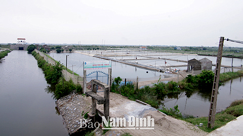 Vùng nuôi thủy, hải sản của xã Nam Điền được quy hoạch tập trung, tạo điều kiện cho nhân dân đầu tư sản xuất.