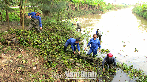 Công nhân Cty TNHH một thành viên KTCTTL Nam Ninh thu dọn bèo, rác trên hệ thống kênh, mương để tiêu thoát nước.