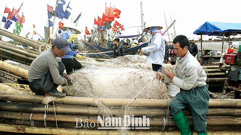 Ngư phủ xã Hải Triều (Hải Hậu) thu hoạch hải sản sau 1 đêm đánh bắt ngoài biển.