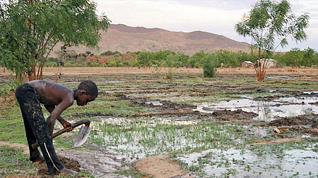 Lương thực tại Cameroon ngày càng khan hiếm. (Ảnh: IRIN)