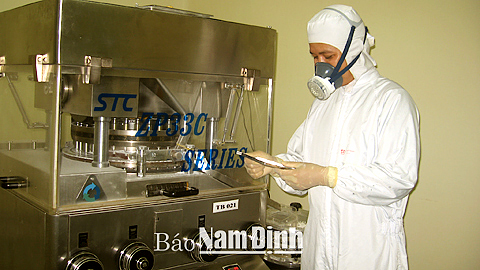 Vận hành máy dập viên thuốc tại Cty CP Dược phẩm Nam Hà.
