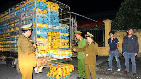 Lực lượng QLTT và Công an Kinh tế huyện Xuân Trường phối hợp bắt giữ hàng vi phạm VSATTP lưu thông trên địa bàn huyện.