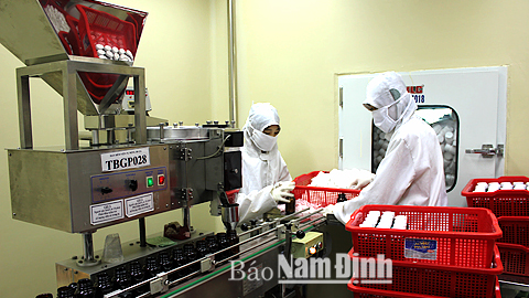 Sản xuất các sản phẩm thuốc và hóa dược tại Cty CP Dược phẩm Trường Thọ, KCN Hòa Xá (TP Nam Định). 