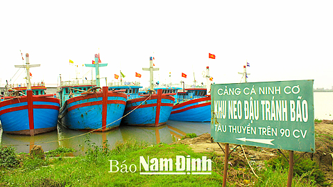 Khu neo đậu tránh bão cho tàu thuyền đánh bắt xa bờ tại Cảng cá Ninh Cơ, Thị trấn Thịnh Long (Hải Hậu).