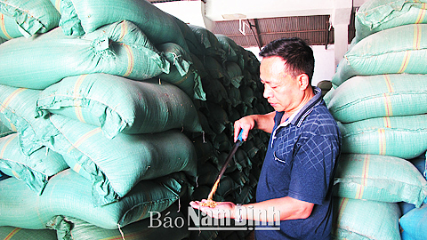 Kiểm tra thóc dự trữ phòng chống lụt bão tại Cty CP Lương thực miền Bắc (TP Nam Định).
