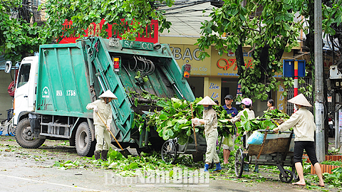 Công nhân Cty TNHH một thành viên Môi trường Nam Định thu gom rác thải, cây xanh sau bão. Ảnh: Xuân Thu