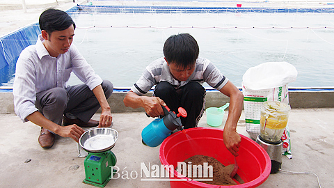 Cán bộ Hội Nông dân tỉnh hướng dẫn kỹ thuật pha chế phẩm sinh học áp dụng trên nuôi tôm cho nông dân.