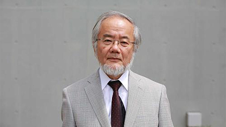 Nhà khoa học người Nhật Bản Yoshinori Ohsumi. Ảnh: multivu