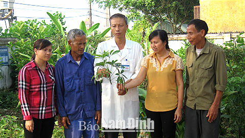 Cán bộ Trạm Y tế xã Liên Bảo (Vụ Bản) hướng dẫn người dân sử dụng cây thuốc nam để điều trị bệnh.