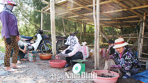 Chợ tạm, xã Giao Thiện (Giao Thủy) do những người khai thác thủy hải sản lập nên để trao đổi hàng hóa.